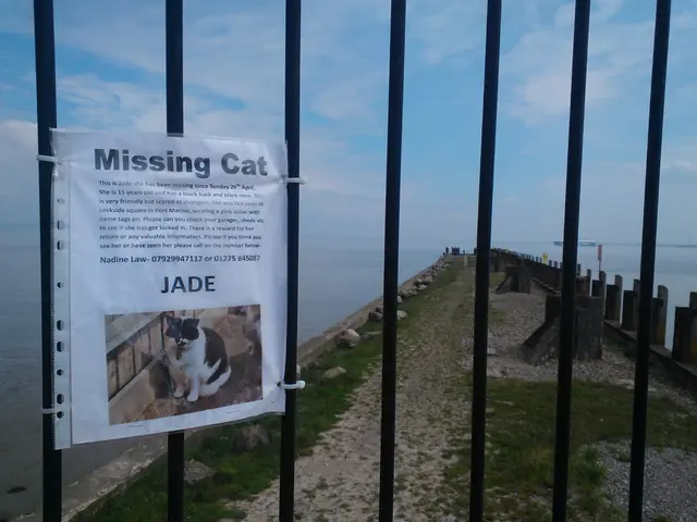 The recently unveiled substitute heating facility, named "Zur Hexenbrücke," in the city of...