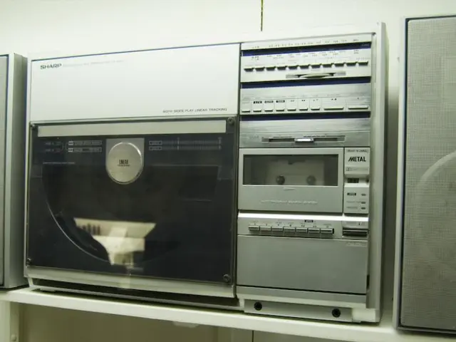 Insights on the Practices of Disseminating Digital Tunes Across Multiple Platforms