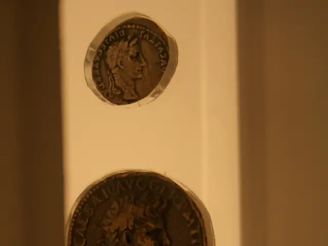 Major entities control around one-fifth of the total Bitcoin holdings