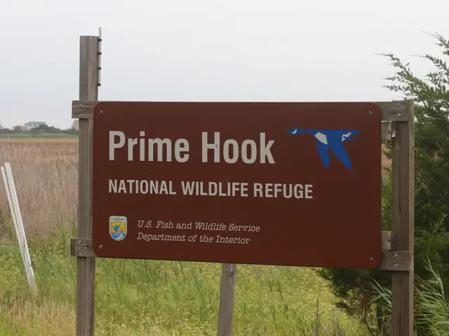 Guide for Self-Hosting a Terraria Mobile Adventure: Steps for Creating a Server