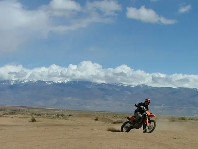 Political Leader Overseeing Data Operations: The individual responsible for managing data-related...