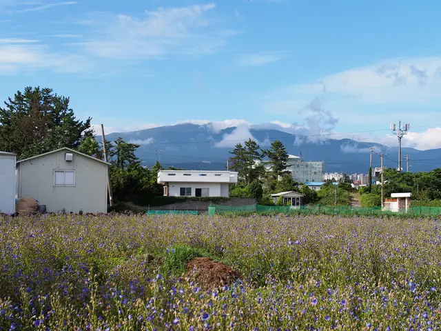 Solar assault in progress