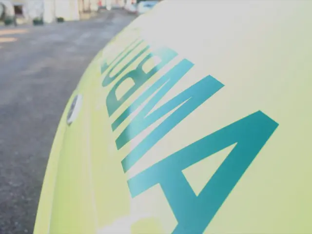 Rapid Expansion of Hydrogen Fuel Cells in the Marine Sector, as Explicated by IDTechEx