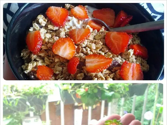 Straw fibers moving from farmlands to academic papers: OutNature and LEIPA pioneer innovative...