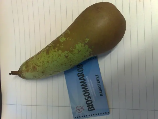 Comparing Go and Rust: Which One Takes the Lead and the Reasons Behind It?