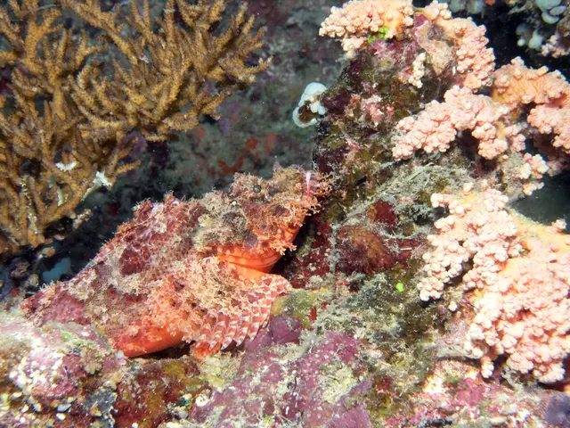 Marine Microorganisms' Significance in Eco-systems and Their Importance