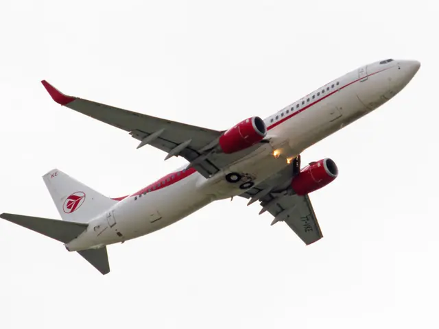 Airwave Discussion: Pioneering Aviator Paul Bäumer, Legendary Lighthouse of Winds