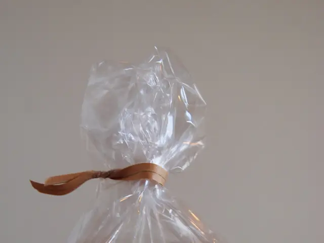 BASF reveals water-permeable thermoplastic polyamide for production of sausage casings