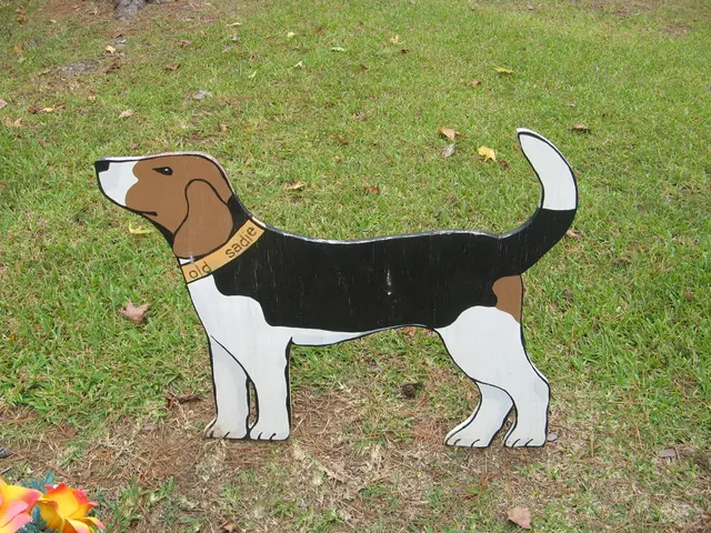 Forecast for Dogecoin Valuation: Possibility of Dogecoin Surpassing $5 by 2030