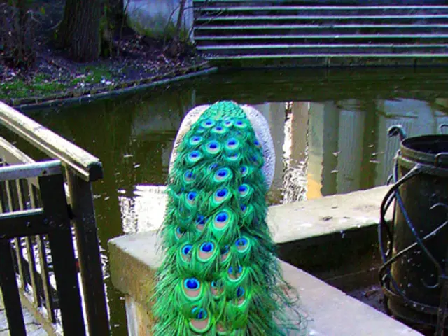 Quantum Computing Heats Up with Nvidia's New Deal: IonQ, Rigetti, and D-Wave in a Competitive Race