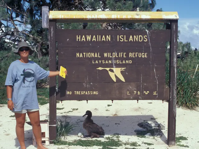 Comparison Query Operators in MongoDB Explained