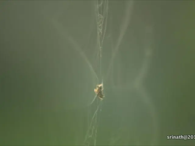 Urgent Chrome Update: Google Issues Patch for zero-day vulnerability - Verify your browser version...