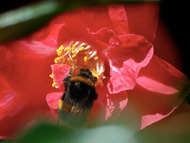 Malicious hackers inserting destructive software into GitHub Actions workflows, with the intention...