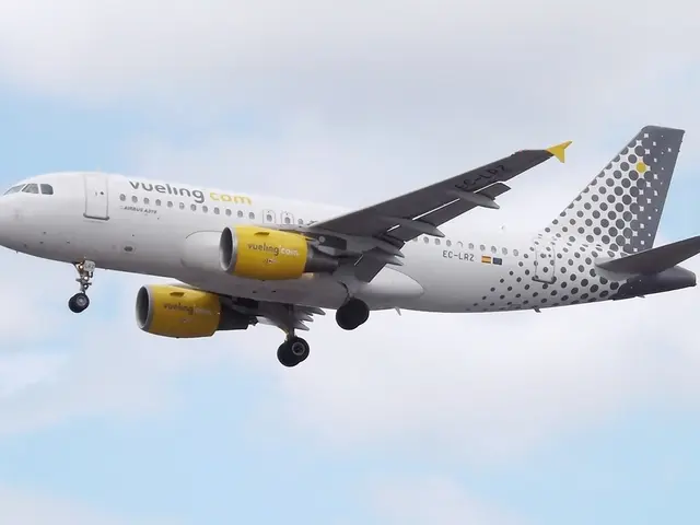 In this image, I can see an airplane flying in the sky. These are the windows, turbine engine,...