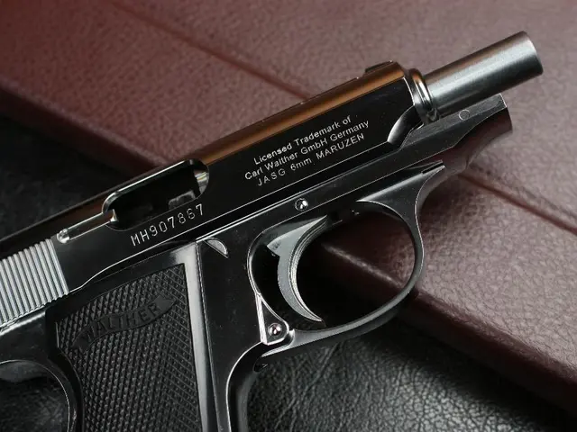 In this picture I can see the pistol.