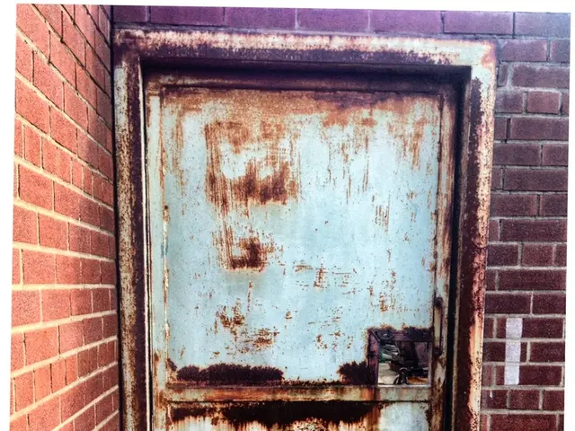In this image we can see there is an old iron door in the middle. In the background there is a...