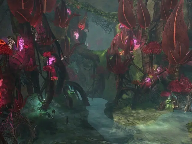 Here there are trees, this is water.