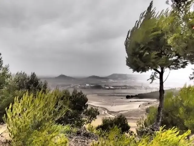 It looks like an edited image. We can see there are plants, trees, hills and the cloudy sky.