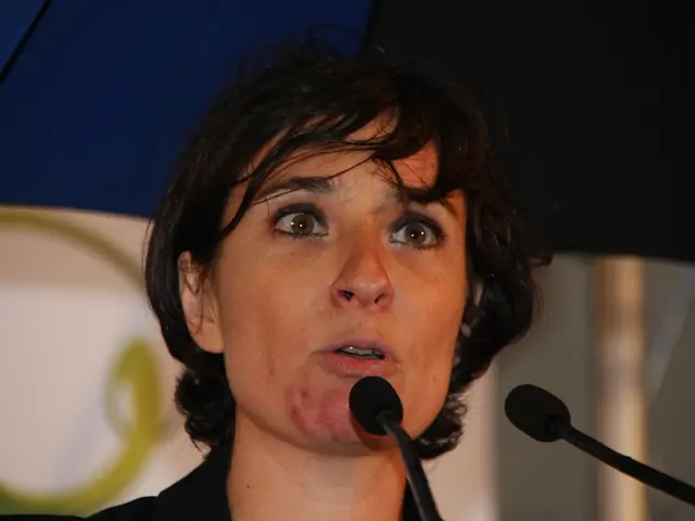 There is a woman speaking. In front of her there are mics. In the background it is blurred.