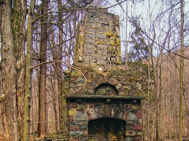 There is a building with brick walls. In the background there are trees. On the ground there are...