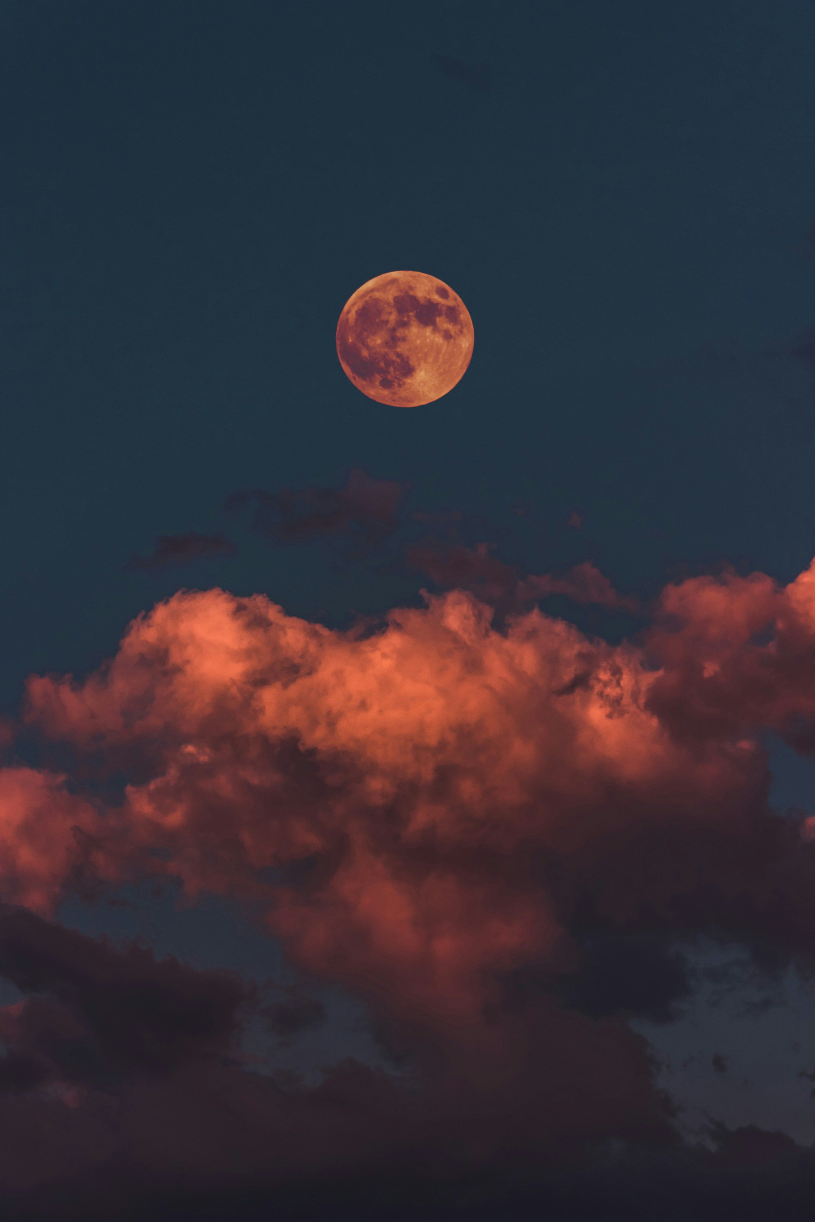 Weekly pressure mounts on Cardano's price despite a surge in DeFi TVL and a significant increase of over $215 million in its staking market cap.