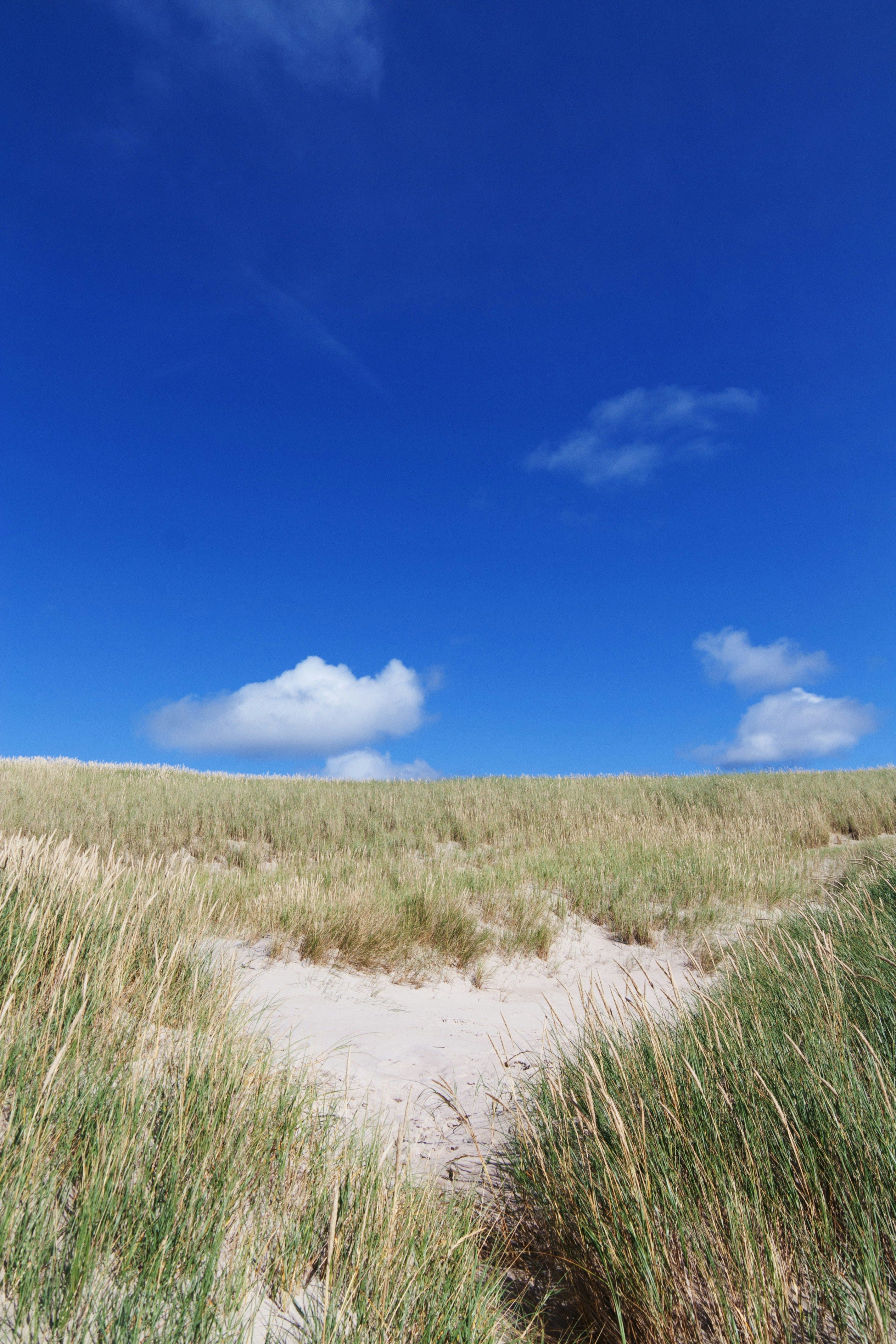 Mobile application released by the State Revenue Committee, enabling users to verify travel...