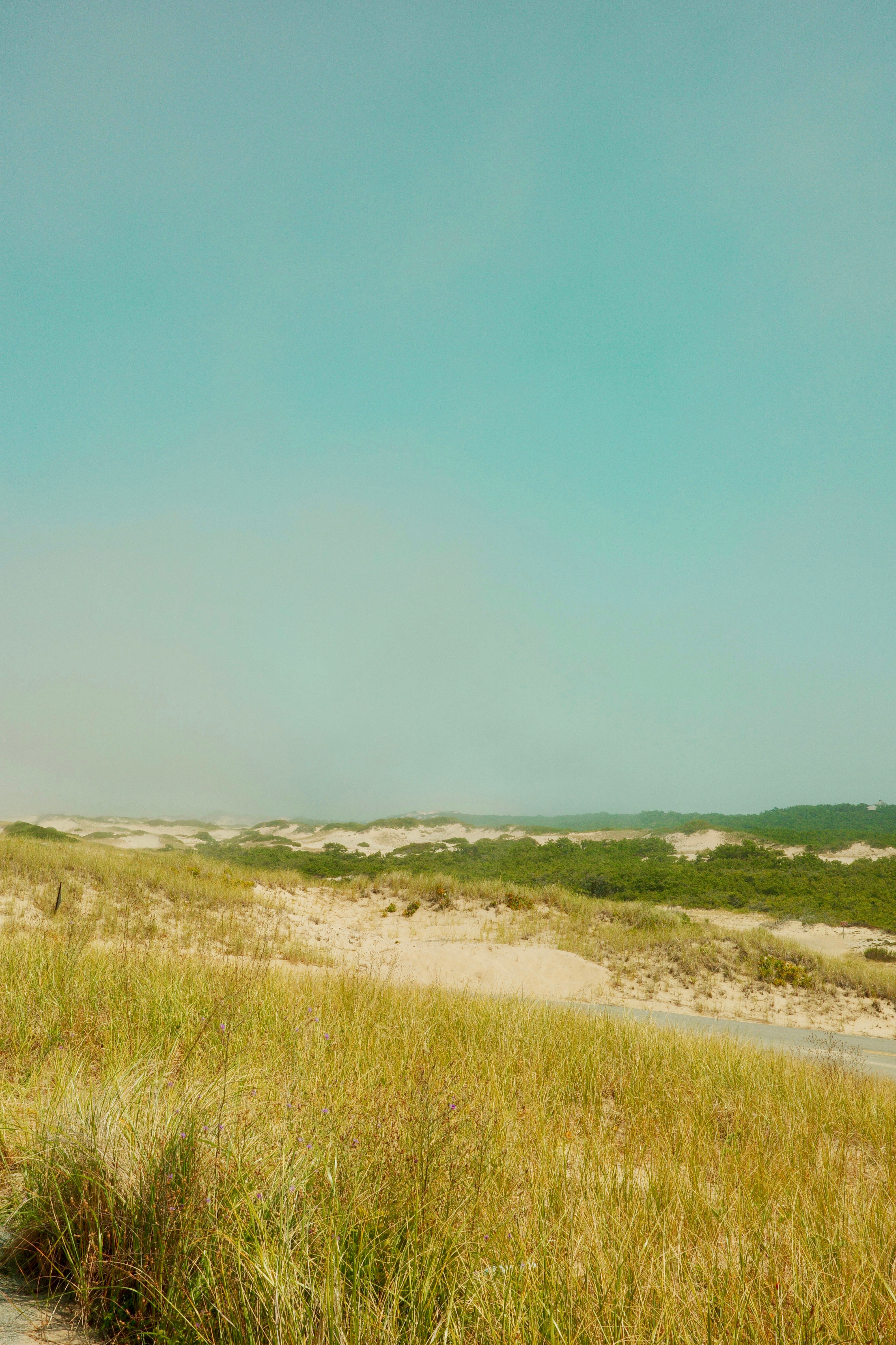 "Unlock coveted weapon skins in CS2 swiftly with our comprehensive 2025 drop guide. Discover the...